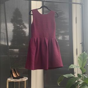 Aritzia Dress